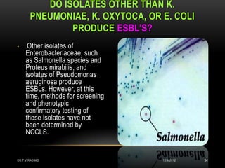 DO ISOLATES OTHER THAN K.
       PNEUMONIAE, K. OXYTOCA, OR E. COLI
               PRODUCE ESBL’S?
•     Other isolates of
     Enterobacteriaceae, such
     as Salmonella species and
     Proteus mirabilis, and
     isolates of Pseudomonas
     aeruginosa produce
     ESBLs. However, at this
     time, methods for screening
     and phenotypic
     confirmatory testing of
     these isolates have not
     been determined by
     NCCLS.


DR.T.V.RAO MD                      12/8/2012   34
 