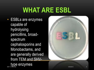 WHAT ARE ESBL
• ESBLs are enzymes
  capable of
  hydrolysing
  penicillins, broad-
  spectrum
  cephalosporins and
  Monobactams, and
  are generally derived
  from TEM and SHV-
  type enzymes
DR.T.V.RAO MD               12/8/2012   4
 