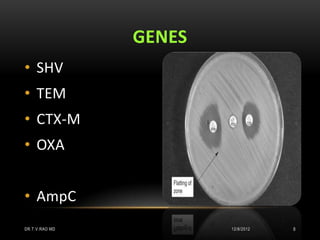 GENES
• SHV
• TEM
• CTX-M
• OXA


• AmpC
DR.T.V.RAO MD           12/8/2012   8
 