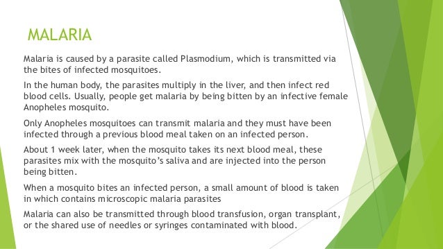 MALARIA Malaria is caused by a parasite called Plasmodium, which is transmitted via the bites of infected mosquitoes. In t...