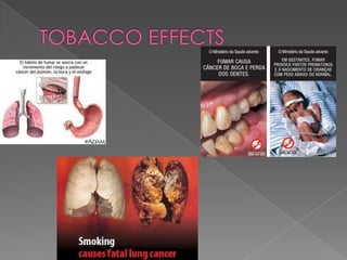 TOBACCO EFFECTS
