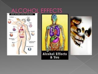 ALCOHOL EFFECTS