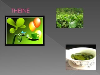 THEINE