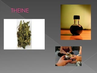 THEINE