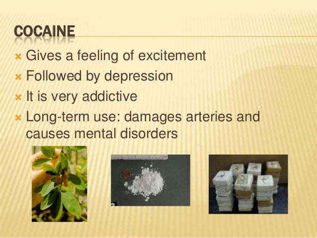 Brain booster pills south africa image 2