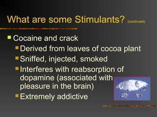What are some Stimulants? (continued)
 Cocaine and crack
 Derived from leaves of cocoa plant
 Sniffed, injected, smoked
 Interferes with reabsorption of
dopamine (associated with
pleasure in the brain)
 Extremely addictive
 