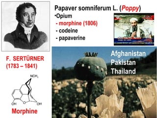 F. SERTÜRNER
(1783 – 1841)
Morphine
Papaver somniferum L. (Poppy)
•Opium
- morphine (1806)
- codeine
- papaverine
Afghanistan
Pakistan
Thailand
 