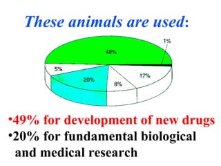 •49% for development of new drugs
•20% for fundamental biological
and medical research
These animals are used:
 