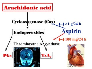 Arachidonic acid
Cyclooxygenase (Cox)
Endoperoxides
PGs TxA2
(−)
Aspirin
Thromboxane A2 synthase
(−) 100 mg/24 h
>1 g/24 h
 