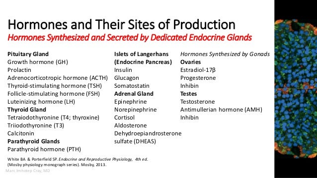 Medicine that deals with endocrine disorders