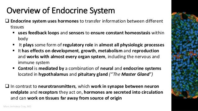 Medicine that deals with endocrine disorders