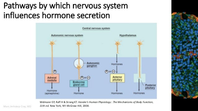 Medicine that deals with endocrine disorders