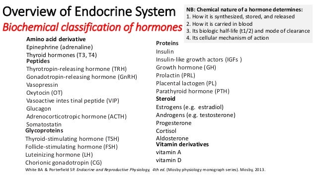 Medicine that deals with endocrine disorders