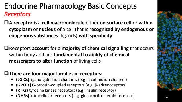 Medicine that deals with endocrine disorders