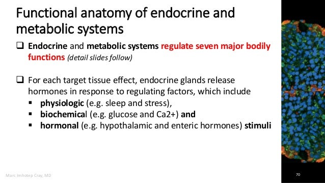 Medicine that deals with endocrine disorders