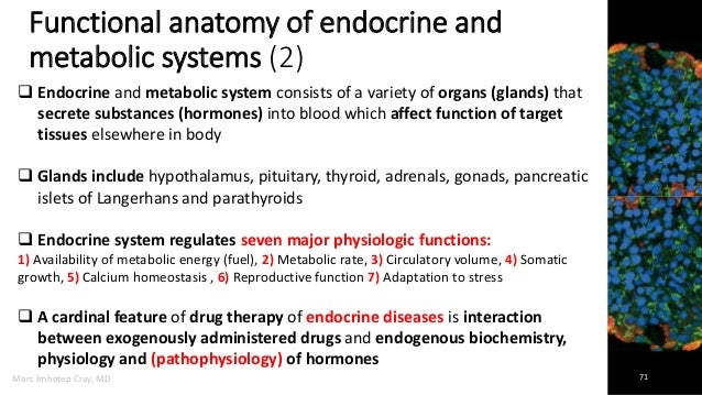 Medicine that deals with endocrine disorders