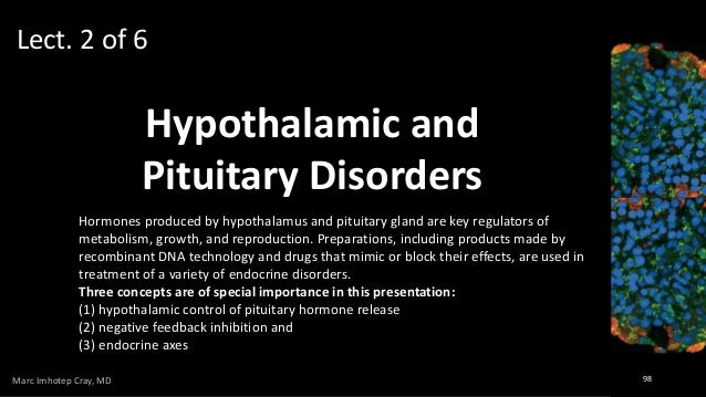 Medicine that deals with endocrine disorders