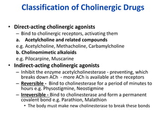 Classification of Cholinergic Drugs
• Direct-acting cholinergic agonists
– Bind to cholinergic receptors, activating them
a. Acetylcholine and related compounds
e.g. Acetylcholine, Methacholine, Carbamylcholine
b. Cholinomimetic alkaloids
e.g. Pilocarpine, Muscarine
• Indirect-acting cholinergic agonists
– Inhibit the enzyme acetylcholinesterase - preventing, which
breaks down ACh - more ACh is available at the receptors
– Reversible - Bind to cholinesterase for a period of minutes to
hours e.g. Physostigmine, Neostigmine
– Irreversible - Bind to cholinesterase and form a permanent
covalent bond e.g. Parathion, Malathion
• The body must make new cholinesterase to break these bonds
 
