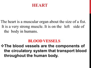 Drugs acting on CVS.pptx cardiovascular System | PPTX