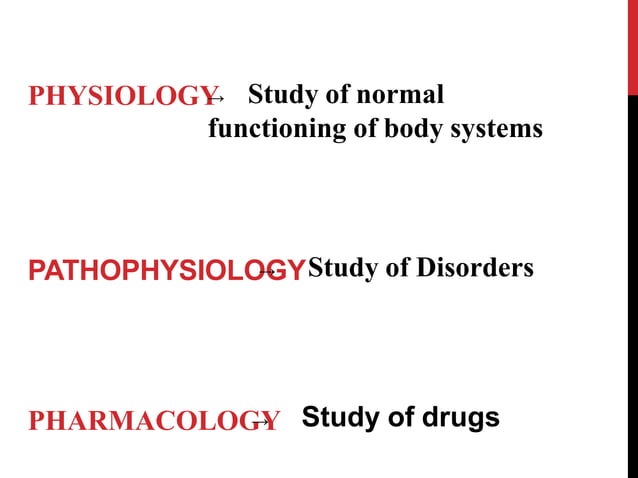Drugs Acting On GIT (2).pptx Gastrointestinal Tract | PPT