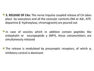 3. RELEASE OF CAs: The nerve impulse coupled release of CA takes
place by exocytosis and all the vesicular contents (NA or Adr, ATP,
dopamine β hydroxylase, chromagranin) are poured out
In case of vesicles which in addition contain peptides like
enkephalin or neuropeptide y (NPY), these cotransmitters are
simultaneouly released
The release is modulated by presynaptic receptors, of which α2
inhibitory control is dominant
 