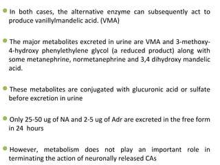 In both cases, the alternative enzyme can subsequently act to
produce vanillylmandelic acid. (VMA)
The major metabolites excreted in urine are VMA and 3-methoxy-
4-hydroxy phenylethylene glycol (a reduced product) along with
some metanephrine, normetanephrine and 3,4 dihydroxy mandelic
acid.
These metabolites are conjugated with glucuronic acid or sulfate
before excretion in urine
Only 25-50 ug of NA and 2-5 ug of Adr are excreted in the free form
in 24 hours
However, metabolism does not play an important role in
terminating the action of neuronally released CAs
 