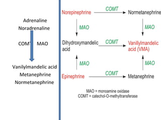 Adrenaline
Noradrenaline
COMT MAO
Vanilylmandelic acid
Metanephrine
Normetanephrine
 