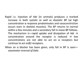 Rapid i.v. injection of Adr (in animals) produces a marked
increase in both systolic as well as diastolic BP (at high
concentration α response predominates and vasoconstriction
occurs even in skeletal muscles). The BP returns to normal
within a few minutes and a secondary fall in mean BP follows.
The mechanism is—rapid uptake and dissipation of Adr →
concentration around the receptor is reduced → low
concentrations are not able to act on α receptors but
continue to act onβ2 receptors.
When an α blocker has been given, only fall in BP is seen—
vasomotor reversal of Dale.
 