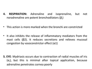 4. RESPIRATION: Adrenaline and isoprenaline, but not
noradrenaline are potent bronchodilators (β2)
• This action is more marked when the bronchi are constricted
• It also inhibits the release of inflammatory mediators from the
mast cells (β2). It reduces secretions and relieves mucosal
congestion by vasoconstrictor effect (α1)
5. EYE: Mydriasis occurs due to contraction of radial muscles of iris
(α1), but this is minimal after topical application, because
adrenaline penetrates cornea poorly
 