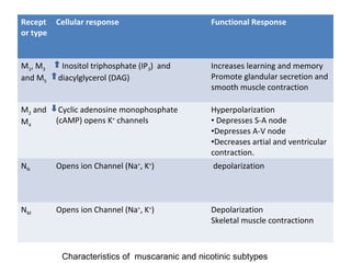 Recept
or type
Cellular response Functional Response
M1, M3
and M5
Inositol triphosphate (IP3) and
diacylglycerol (DAG)
Increases learning and memory
Promote glandular secretion and
smooth muscle contraction
M2 and
M4
Cyclic adenosine monophosphate
(cAMP) opens K+
channels
Hyperpolarization
• Depresses S-A node
•Depresses A-V node
•Decreases artial and ventricular
contraction.
NN Opens ion Channel (Na+
, K+
) depolarization
NM Opens ion Channel (Na+
, K+
) Depolarization
Skeletal muscle contractionn
Characteristics of muscaranic and nicotinic subtypes
 