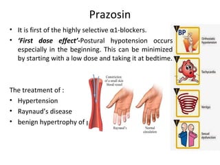 Prazosin
• It is first of the highly selective α1-blockers.
• ‘First dose effect’-Postural hypotension occurs
especially in the beginning. This can be minimized
by starting with a low dose and taking it at bedtime.
The treatment of :
• Hypertension
• Raynaud’s disease
• benign hypertrophy of prostate (BHP).
 