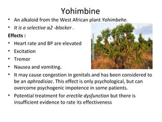 Yohimbine
• An alkaloid from the West African plant Yohimbehe.
• It is a selective α2 -blocker .
Effects :
• Heart rate and BP are elevated
• Excitation
• Tremor
• Nausea and vomiting.
• It may cause congestion in genitals and has been considered to
be an aphrodisiac. This effect is only psychological, but can
overcome psychogenic impotence in some patients.
• Potential treatment for erectile dysfunction but there is
insufficient evidence to rate its effectiveness
 