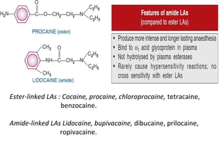 Ester-linked LAs : Cocaine, procaine, chloroprocaine, tetracaine,
benzocaine.
Amide-linked LAs Lidocaine, bupivacaine, dibucaine, prilocaine,
ropivacaine.
 