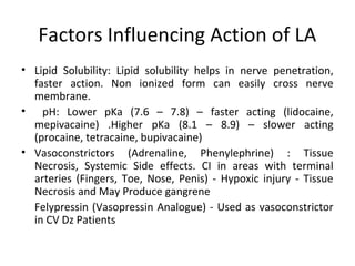 Factors Influencing Action of LA
• Lipid Solubility: Lipid solubility helps in nerve penetration,
faster action. Non ionized form can easily cross nerve
membrane.
• pH: Lower pKa (7.6 – 7.8) – faster acting (lidocaine,
mepivacaine) .Higher pKa (8.1 – 8.9) – slower acting
(procaine, tetracaine, bupivacaine)
• Vasoconstrictors (Adrenaline, Phenylephrine) : Tissue
Necrosis, Systemic Side effects. CI in areas with terminal
arteries (Fingers, Toe, Nose, Penis) - Hypoxic injury - Tissue
Necrosis and May Produce gangrene
Felypressin (Vasopressin Analogue) - Used as vasoconstrictor
in CV Dz Patients
 