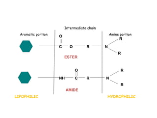 C
C O
O
R N
R
R
NH
O
R N
R
R
Aromatic portion Amine portion
Intermediate chain
ESTER
AMIDE
LIPOPHILIC HYDROPHILIC
 