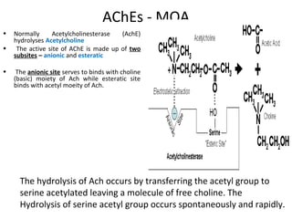 AChEs - MOA
• Normally Acetylcholinesterase (AchE)
hydrolyses Acetylcholine
• The active site of AChE is made up of two
subsites – anionic and esteratic
• The anionic site serves to binds with choline
(basic) moiety of Ach while esteratic site
binds with acetyl moeity of Ach.
The hydrolysis of Ach occurs by transferring the acetyl group to
serine acetylated leaving a molecule of free choline. The
Hydrolysis of serine acetyl group occurs spontaneously and rapidly.
 