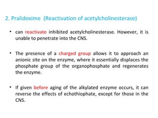 2. Pralidoxime (Reactivation of acetylcholinesterase)
• can reactivate inhibited acetylcholinesterase. However, it is
unable to penetrate into the CNS.
• The presence of a charged group allows it to approach an
anionic site on the enzyme, where it essentially displaces the
phosphate group of the organophosphate and regenerates
the enzyme.
• If given before aging of the alkylated enzyme occurs, it can
reverse the effects of echothiophate, except for those in the
CNS.
 