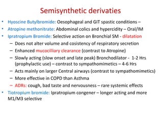 Semisynthetic derivaties
• Hyoscine Butylbromide: Oesophageal and GIT spastic conditions –
• Atropine methonitrate: Abdominal colics and hypercidity – Oral/IM
• Ipratropium Bromide: Selective action on Bronchial SM - dilatation
– Does not alter volume and cosistency of respiratory secretion
– Enhanced mucocilliary clearance (contrast to Atropine)
– Slowly acting (slow onset and late peak) Bronchodilator - 1-2 Hrs
(prophylactic use) – contrast to sympathomimetics – 4-6 Hrs
– Acts mainly on larger Central airways (contrast to sympathomimetics)
– More effective in COPD than Asthma
– ADRs: cough, bad taste and nervousness – rare systemic effects
• Tiotropium bromide: Ipratropium congener – longer acting and more
M1/M3 selective
 