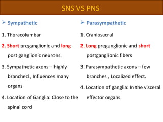 SNS VS PNS
 Sympathetic
1. Thoracolumbar
2. Short preganglionic and long
post ganglionic neurons.
3. Sympathetic axons – highly
branched , Influences many
organs
4. Location of Ganglia: Close to the
spinal cord
 Parasympathetic
1. Craniosacral
2. Long preganglionic and short
postganglionic fibers
3. Parasympathetic axons – few
branches , Localized effect.
4. Location of ganglia: In the visceral
effector organs
 