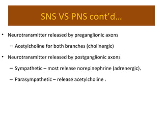 SNS VS PNS cont’d…
• Neurotransmitter released by preganglionic axons
– Acetylcholine for both branches (cholinergic)
• Neurotransmitter released by postganglionic axons
– Sympathetic – most release norepinephrine (adrenergic).
– Parasympathetic – release acetylcholine .
 