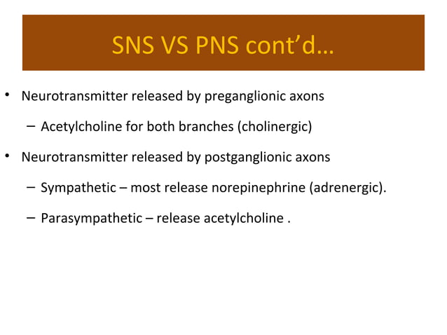 Drugs acting on PNS | PPT