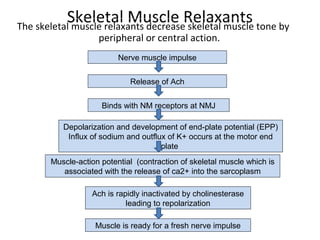 Skeletal Muscle RelaxantsThe skeletal muscle relaxants decrease skeletal muscle tone by
peripheral or central action.
Nerve muscle impulse
Binds with NM receptors at NMJ
Release of Ach
Depolarization and development of end-plate potential (EPP)
Influx of sodium and outflux of K+ occurs at the motor end
plate
Muscle is ready for a fresh nerve impulse
Muscle-action potential (contraction of skeletal muscle which is
associated with the release of ca2+ into the sarcoplasm
Ach is rapidly inactivated by cholinesterase
leading to repolarization
 