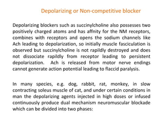 Depolarizing or Non-competitive blocker
Depolarizing blockers such as succinylcholine also possesses two
positively charged atoms and has affnity for the NM receptors,
combines with receptors and opens the sodium channels like
Ach leading to depolarization, so initially muscle fasciculation is
observed but succinylcholine is not rapildly destroyed and does
not dissociate rapildly from receptor leading to persistent
depolarization. Ach is released from motor nerve endings
cannot generate action potential leading to flaccid paralysis.
In many species, e.g. dog, rabbit, rat, monkey, in slow
contracting soleus muscle of cat, and under certain conditions in
man the depolarizing agents injected in high doses or infused
continuously produce dual mechanism neuromuscular blockade
which can be divided into two phases:
 