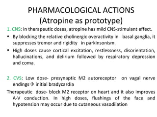 Drugs acting on PNS Slide 57