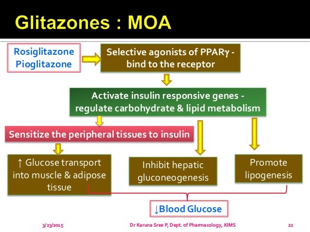 insulin mechanism of action