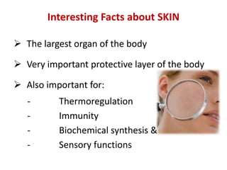 Interesting Facts about SKIN
 The largest organ of the body
 Very important protective layer of the body
 Also important for:
- Thermoregulation
- Immunity
- Biochemical synthesis &
- Sensory functions
 
