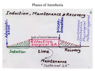 Phases of Anesthesia

29

 