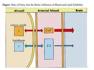 Figure: Rate of Entry into the Brain: Influence of Blood and Lipid Solubility

52

 