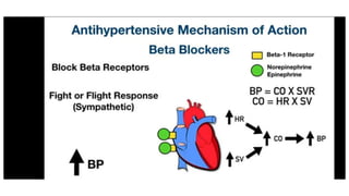 DRUGS ACTING ON THE CARDIOVASCULAR SYSTEM | PPTX