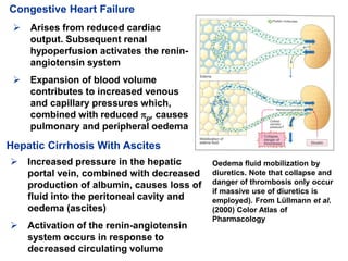 Drugs acting on the kidney lectures 1 and 2 | PDF